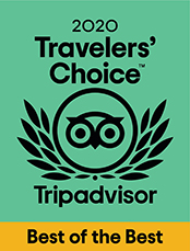trip advisor