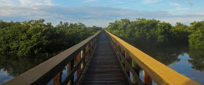 Ponce Preserve Boardwalk