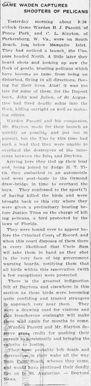 Game Warden Captures Shooters of Pelicans