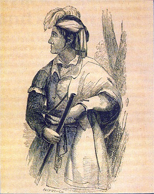  Artist rendition of Coacoochee