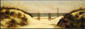 Dunes at Ponce Park