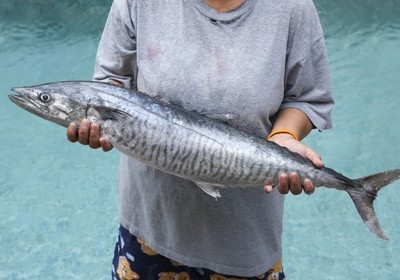 5 Florida Fish That Bite in the Fall
