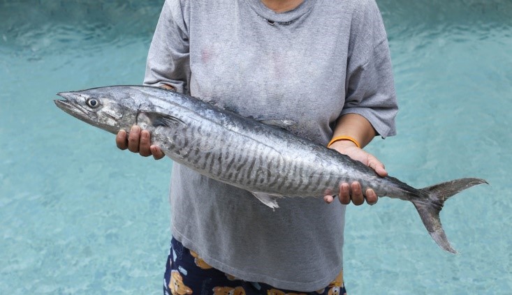 5 Florida Fish That Bite in the Fall