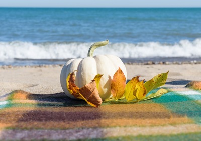Enjoy Fall Activities and Things to Do in Volusia County