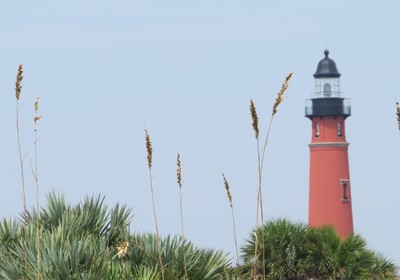 Celebrate Earth Day 2021 in Beautiful Ponce Inlet