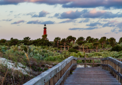 Discovering Native Florida: Ponce Inlet Plant Guide
