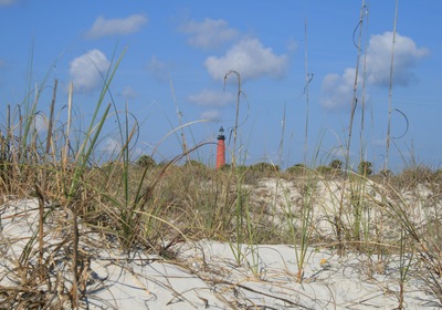 Discover Ponce Inlet's Wild Side